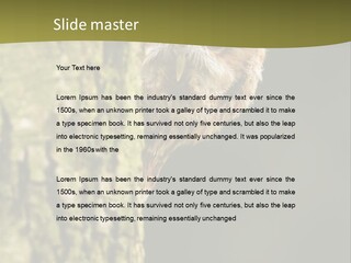 Owl Wildlife Hawk Conservancy PowerPoint Template