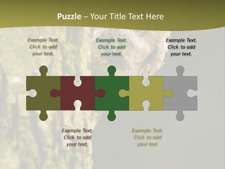 Owl Wildlife Hawk Conservancy PowerPoint Template