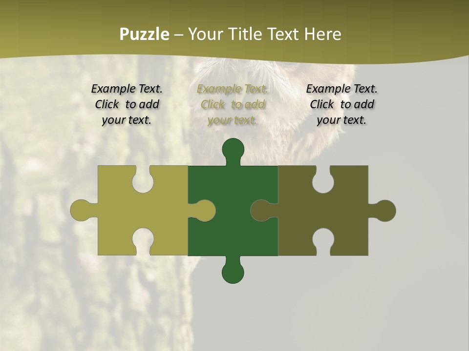 Owl Wildlife Hawk Conservancy PowerPoint Template