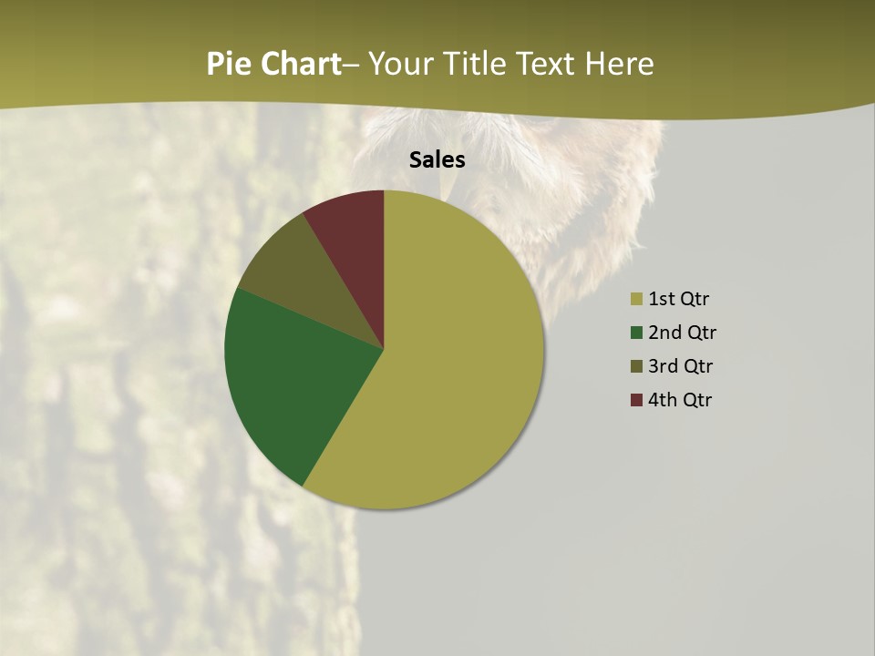 Owl Wildlife Hawk Conservancy PowerPoint Template