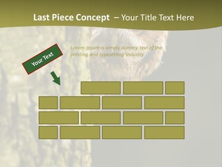 Owl Wildlife Hawk Conservancy PowerPoint Template
