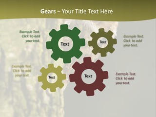 Owl Wildlife Hawk Conservancy PowerPoint Template