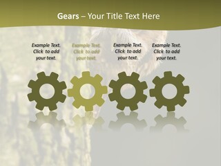 Owl Wildlife Hawk Conservancy PowerPoint Template
