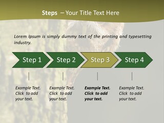 Owl Wildlife Hawk Conservancy PowerPoint Template