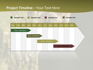 Owl Wildlife Hawk Conservancy PowerPoint Template