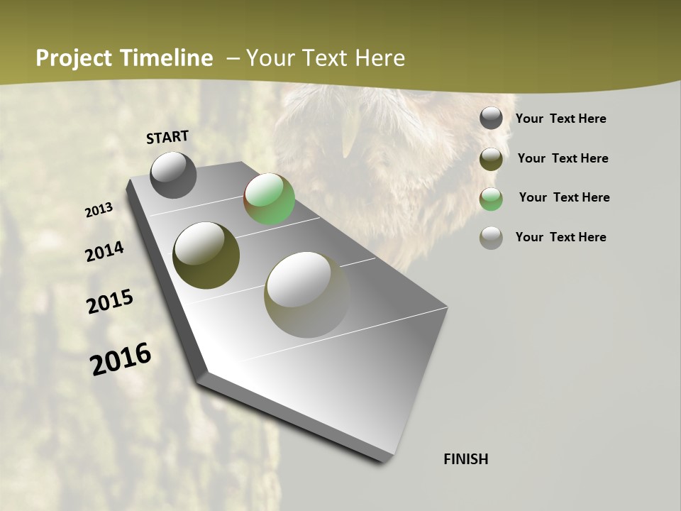 Owl Wildlife Hawk Conservancy PowerPoint Template