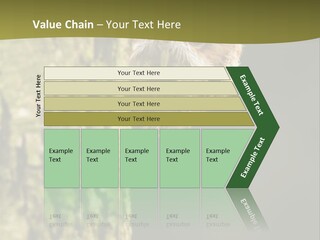 Owl Wildlife Hawk Conservancy PowerPoint Template