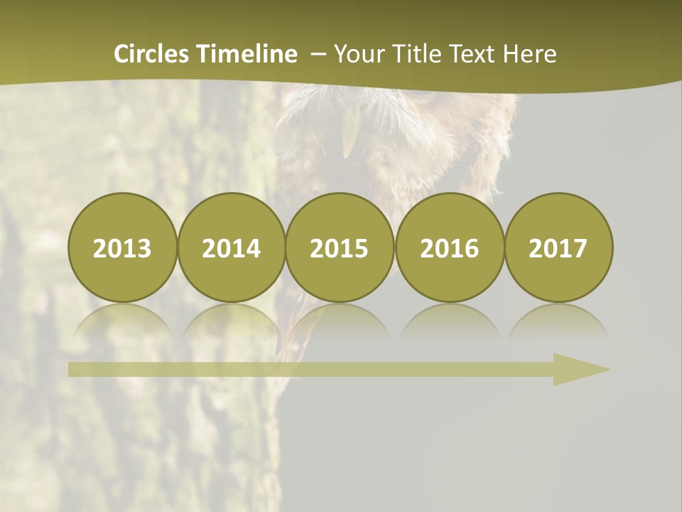 Owl Wildlife Hawk Conservancy PowerPoint Template