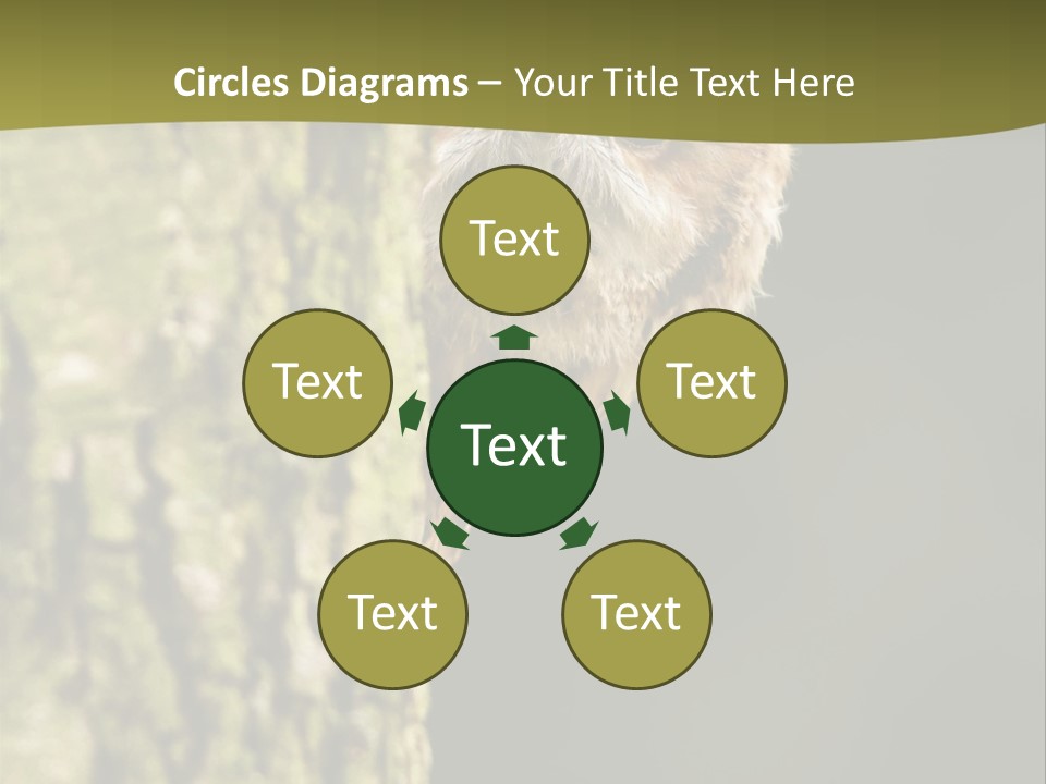 Owl Wildlife Hawk Conservancy PowerPoint Template
