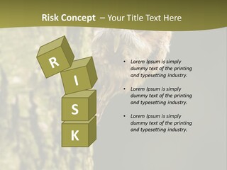 Owl Wildlife Hawk Conservancy PowerPoint Template