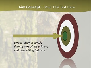 Owl Wildlife Hawk Conservancy PowerPoint Template