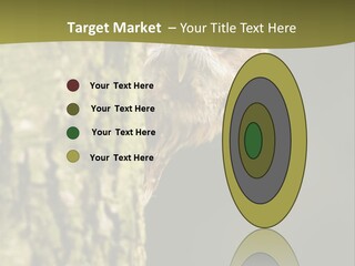 Owl Wildlife Hawk Conservancy PowerPoint Template