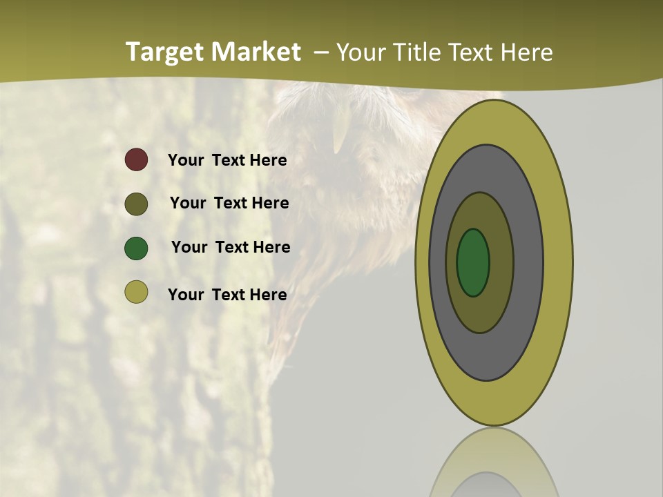 Owl Wildlife Hawk Conservancy PowerPoint Template