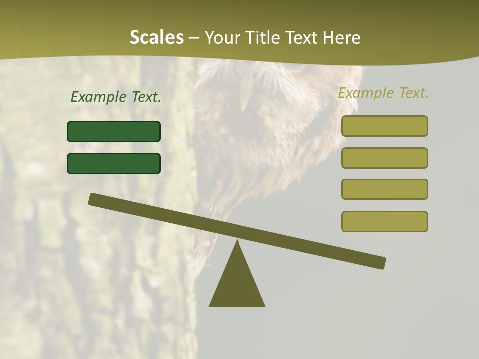 Owl Wildlife Hawk Conservancy PowerPoint Template
