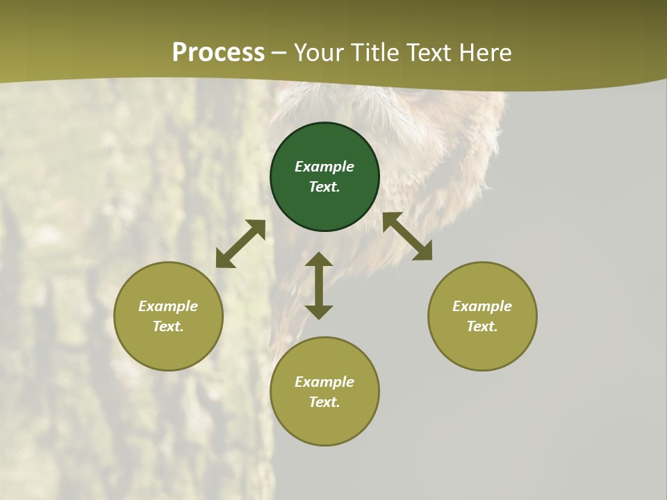 Owl Wildlife Hawk Conservancy PowerPoint Template