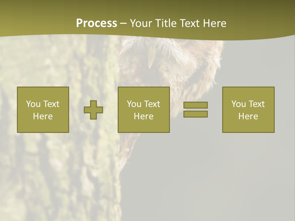 Owl Wildlife Hawk Conservancy PowerPoint Template