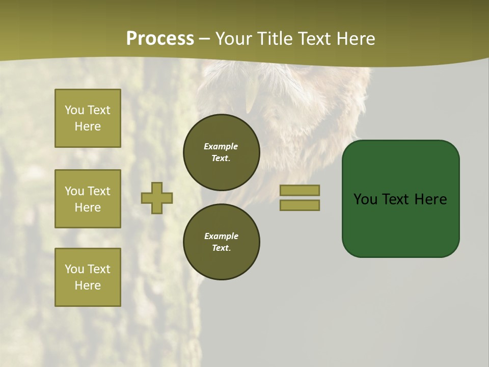 Owl Wildlife Hawk Conservancy PowerPoint Template