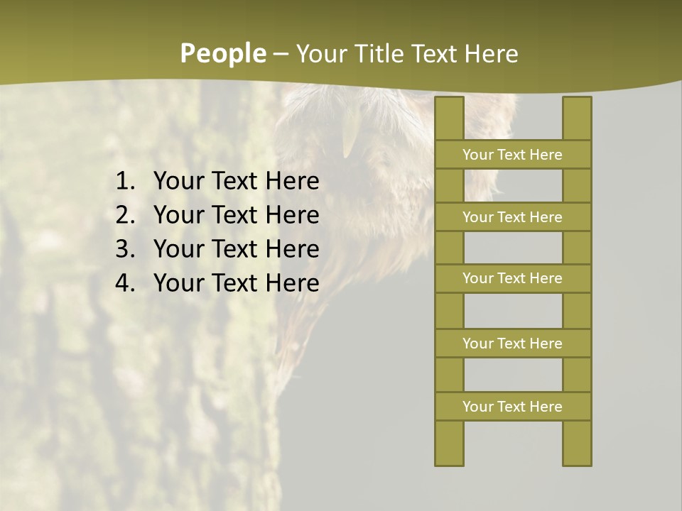 Owl Wildlife Hawk Conservancy PowerPoint Template