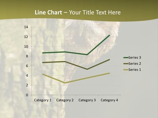 Owl Wildlife Hawk Conservancy PowerPoint Template