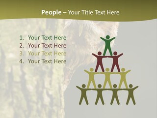 Owl Wildlife Hawk Conservancy PowerPoint Template