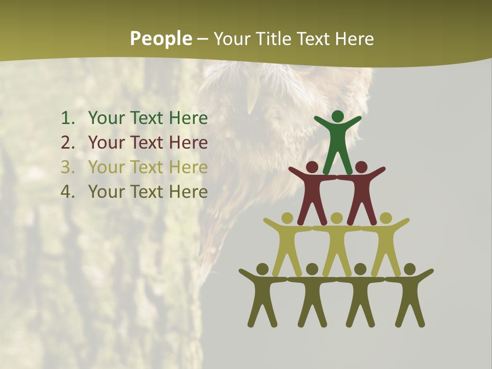 Owl Wildlife Hawk Conservancy PowerPoint Template