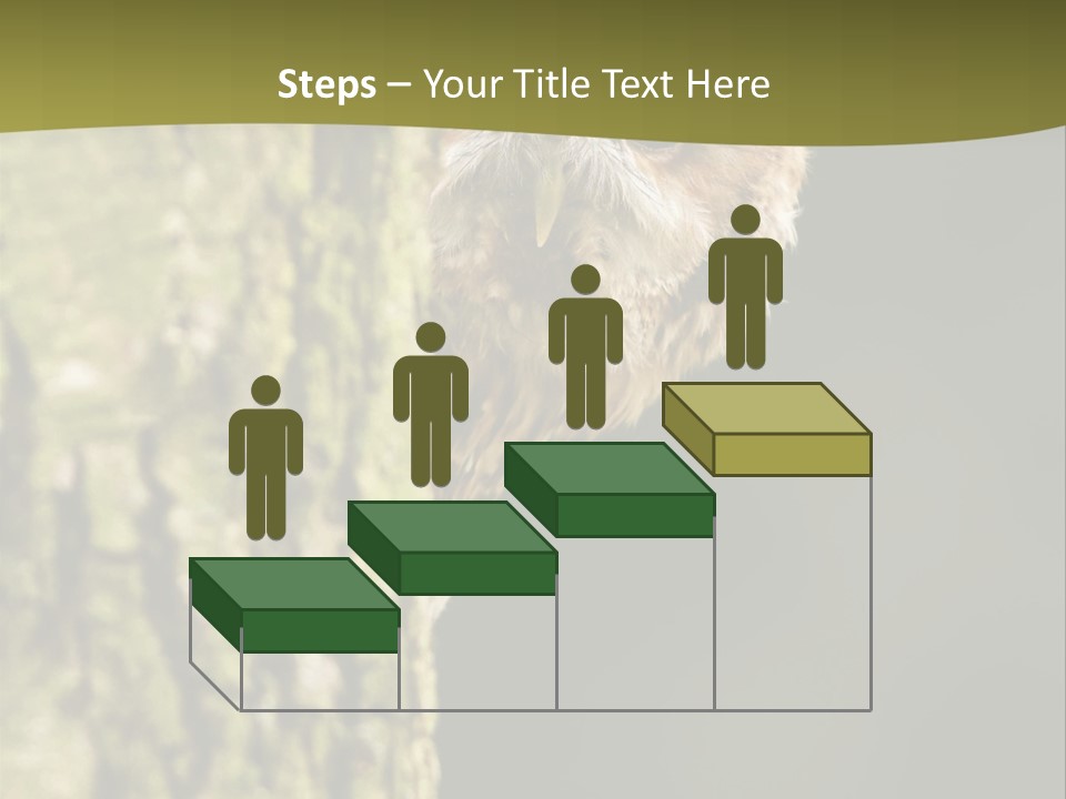 Owl Wildlife Hawk Conservancy PowerPoint Template