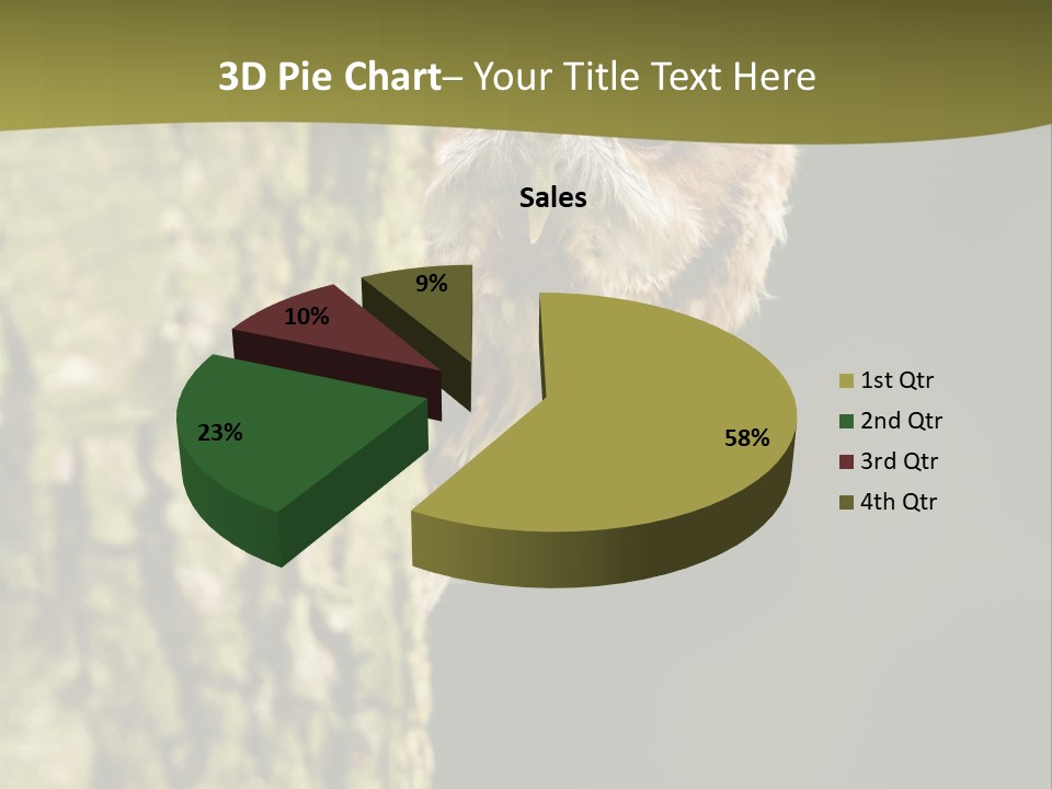 Owl Wildlife Hawk Conservancy PowerPoint Template