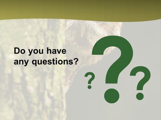 Owl Wildlife Hawk Conservancy PowerPoint Template
