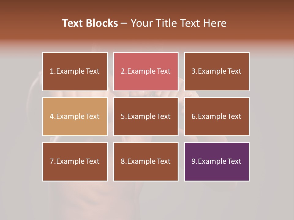 Domestic Pet Polecat PowerPoint Template