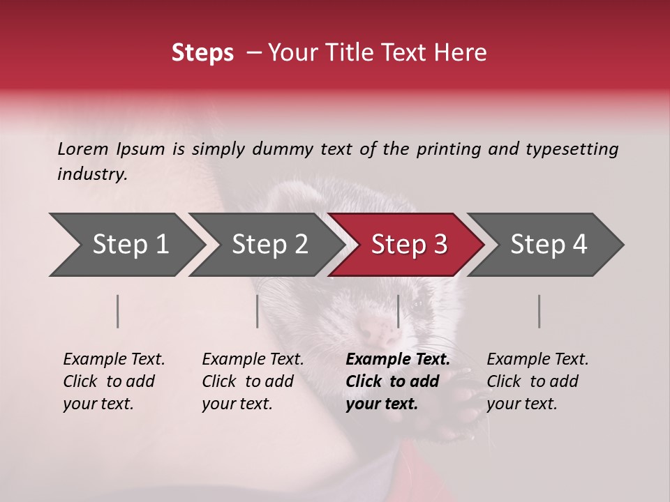 A Ferret Is Being Held By A Man PowerPoint Template