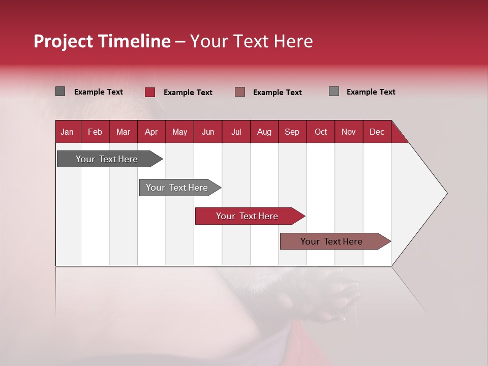 A Ferret Is Being Held By A Man PowerPoint Template