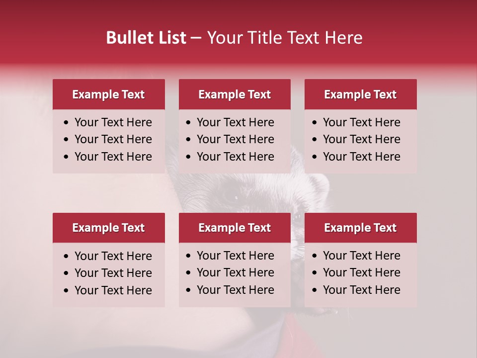 A Ferret Is Being Held By A Man PowerPoint Template