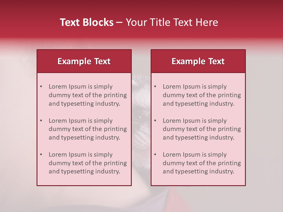 A Ferret Is Being Held By A Man PowerPoint Template