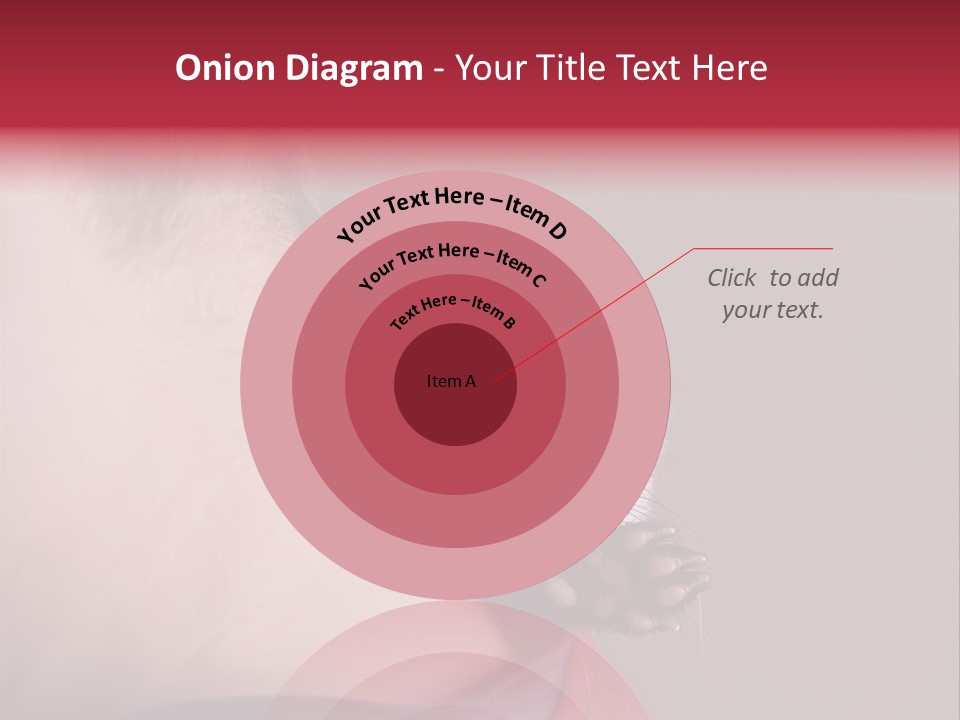 A Ferret Is Being Held By A Man PowerPoint Template