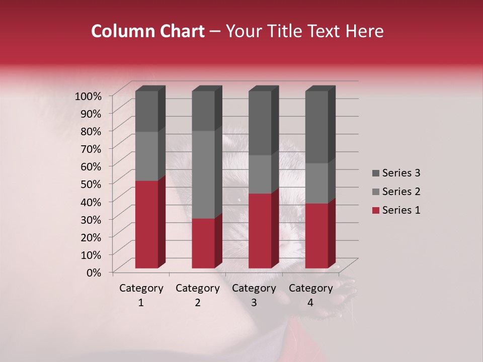 A Ferret Is Being Held By A Man PowerPoint Template
