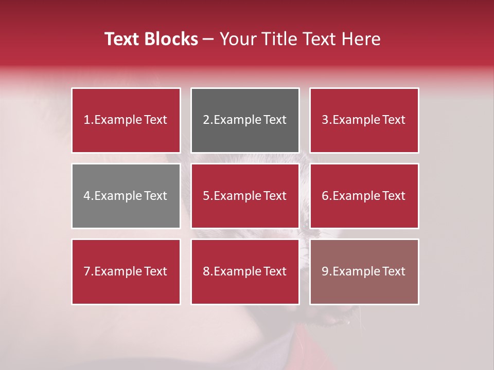 A Ferret Is Being Held By A Man PowerPoint Template