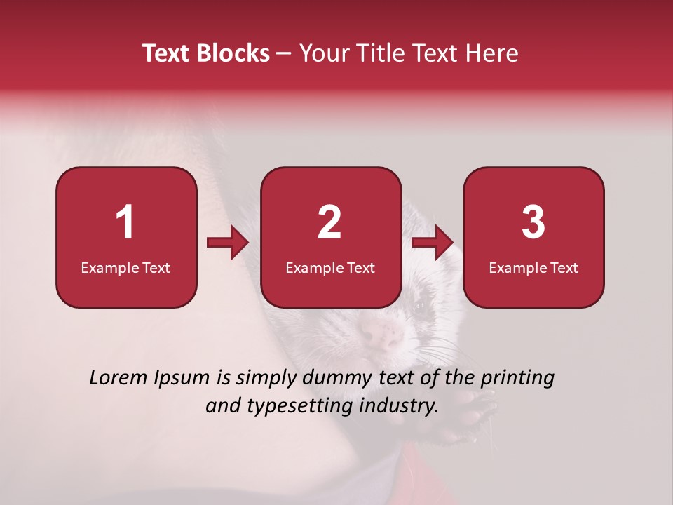 A Ferret Is Being Held By A Man PowerPoint Template