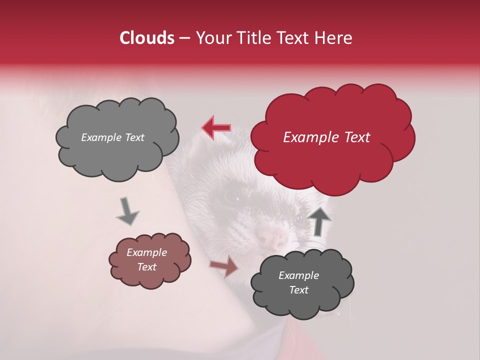 A Ferret Is Being Held By A Man PowerPoint Template