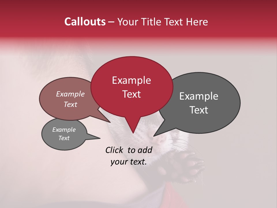 A Ferret Is Being Held By A Man PowerPoint Template