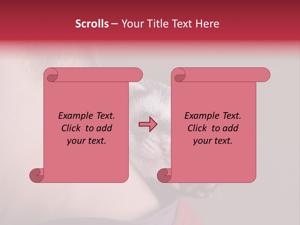 A Ferret Is Being Held By A Man PowerPoint Template