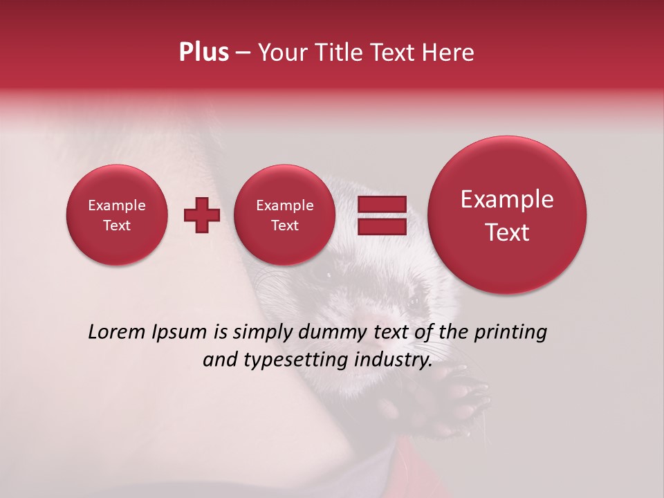 A Ferret Is Being Held By A Man PowerPoint Template