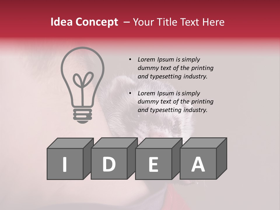 A Ferret Is Being Held By A Man PowerPoint Template