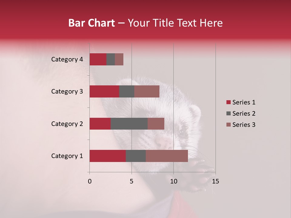 A Ferret Is Being Held By A Man PowerPoint Template