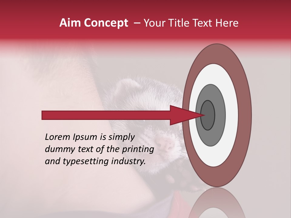 A Ferret Is Being Held By A Man PowerPoint Template