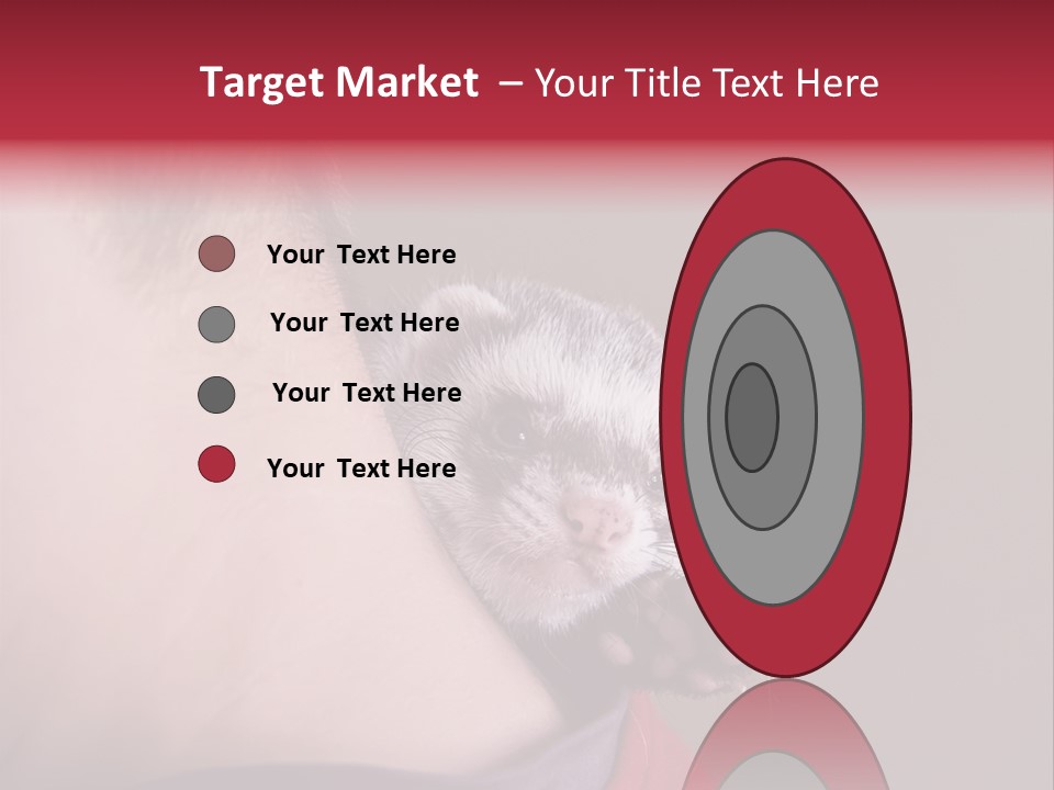 A Ferret Is Being Held By A Man PowerPoint Template