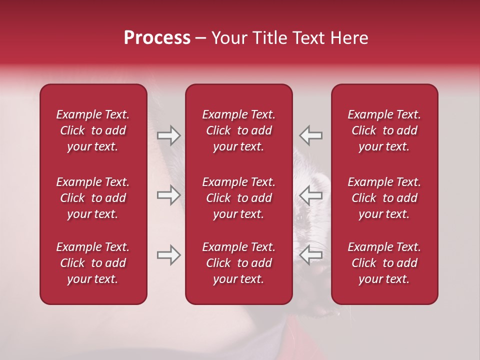 A Ferret Is Being Held By A Man PowerPoint Template