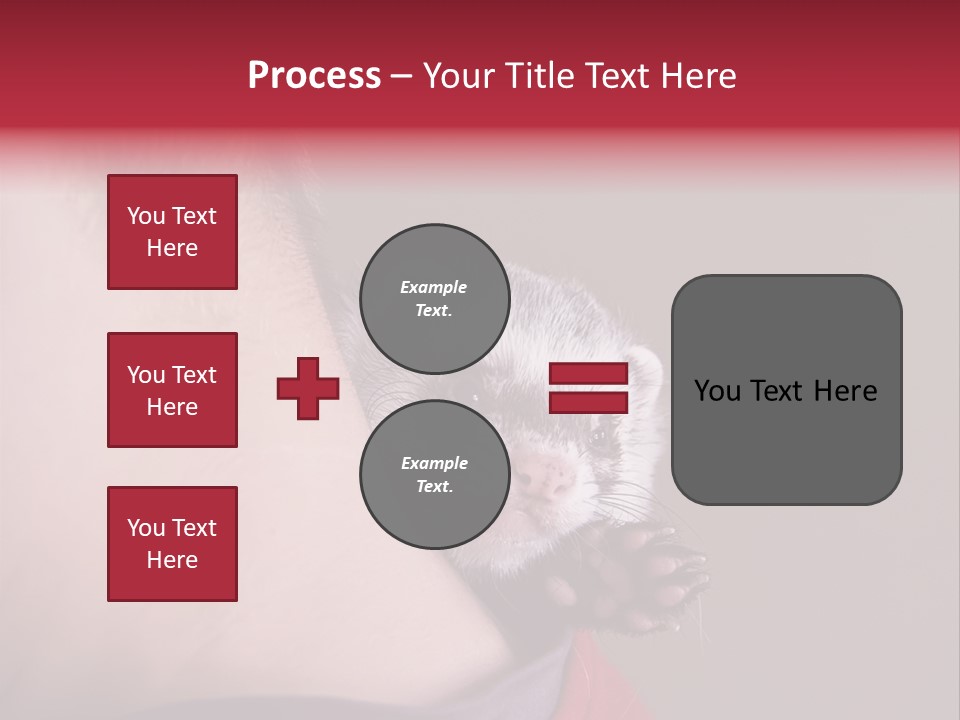 A Ferret Is Being Held By A Man PowerPoint Template