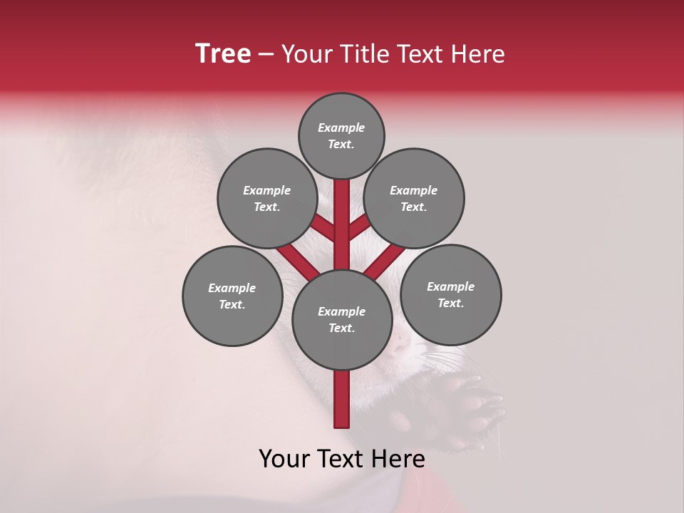 A Ferret Is Being Held By A Man PowerPoint Template