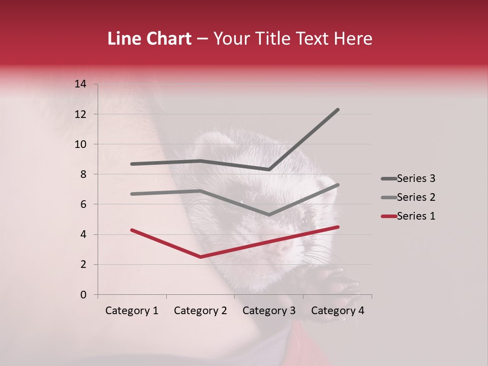 A Ferret Is Being Held By A Man PowerPoint Template