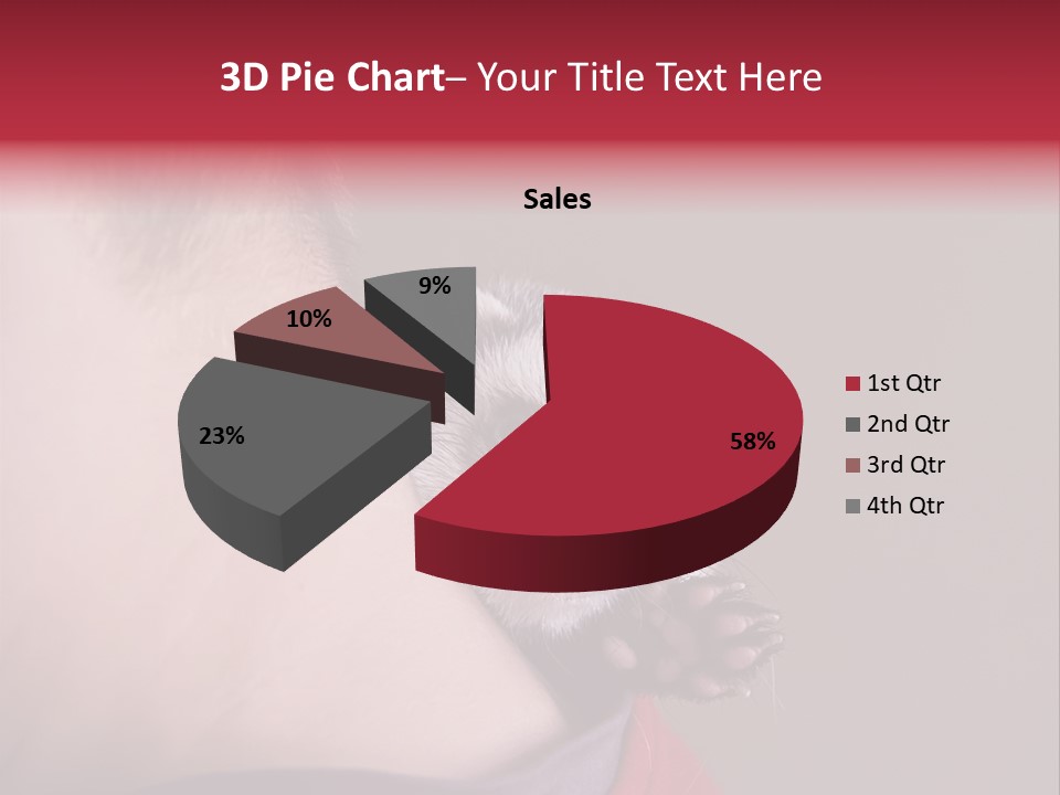 A Ferret Is Being Held By A Man PowerPoint Template